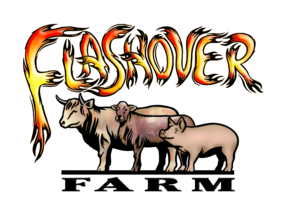 Flashover Logo